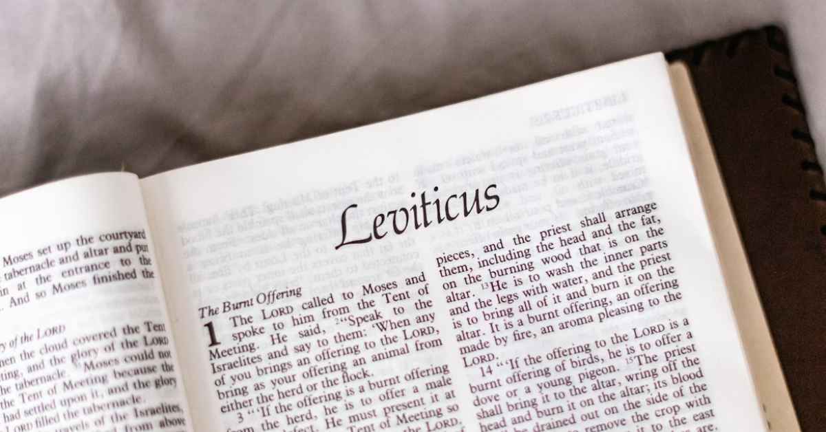 Levidia Content