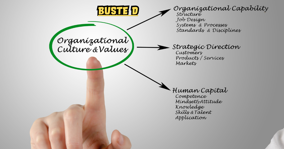 “Buste D