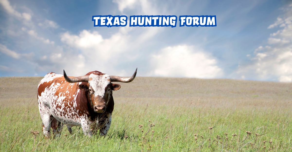 Texas Hunting Forum