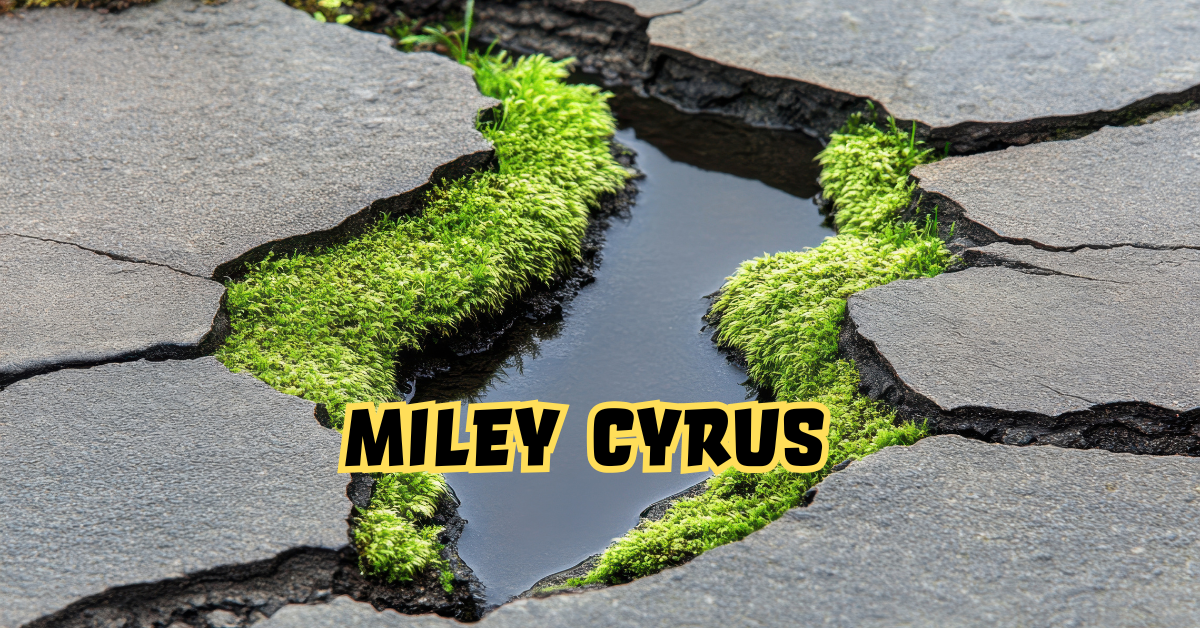 Miley Cyrus: