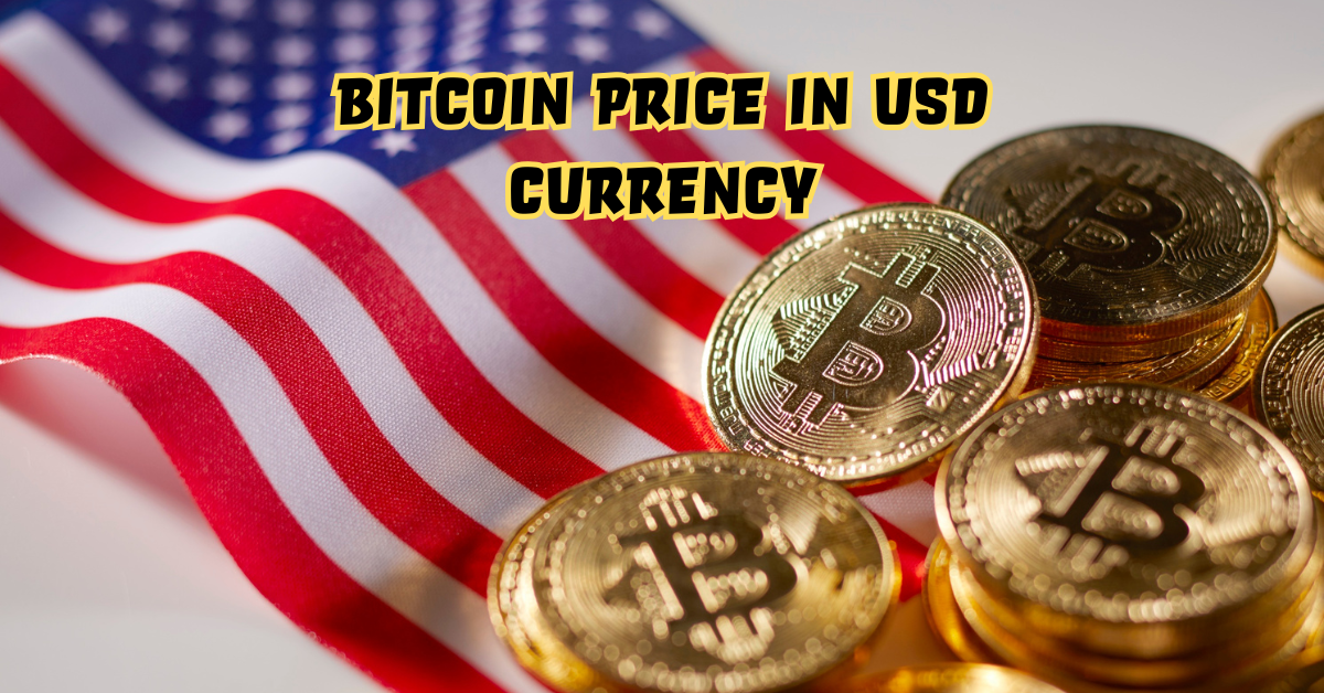 Bitcoin Price in USD