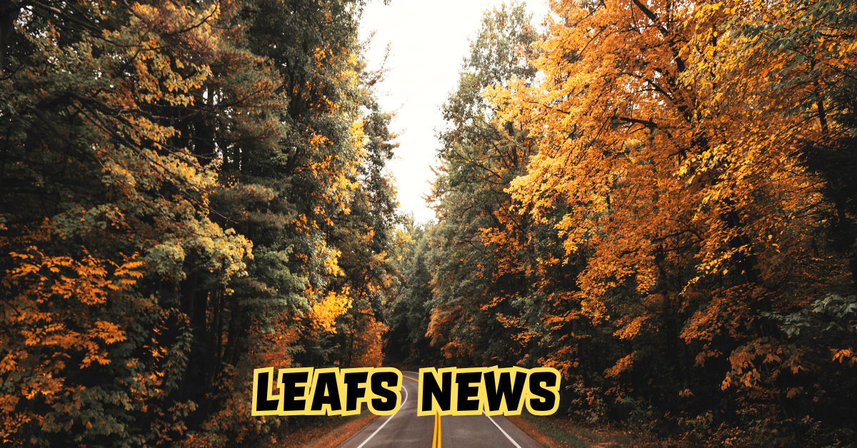 Leafs News